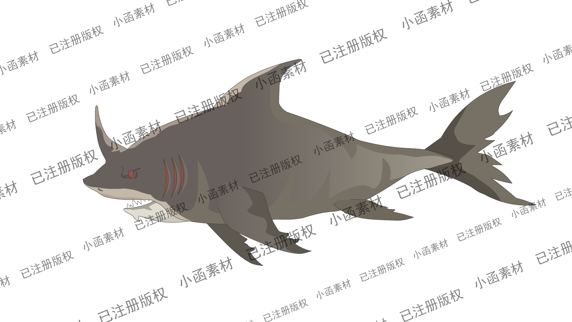 巨齿鲨