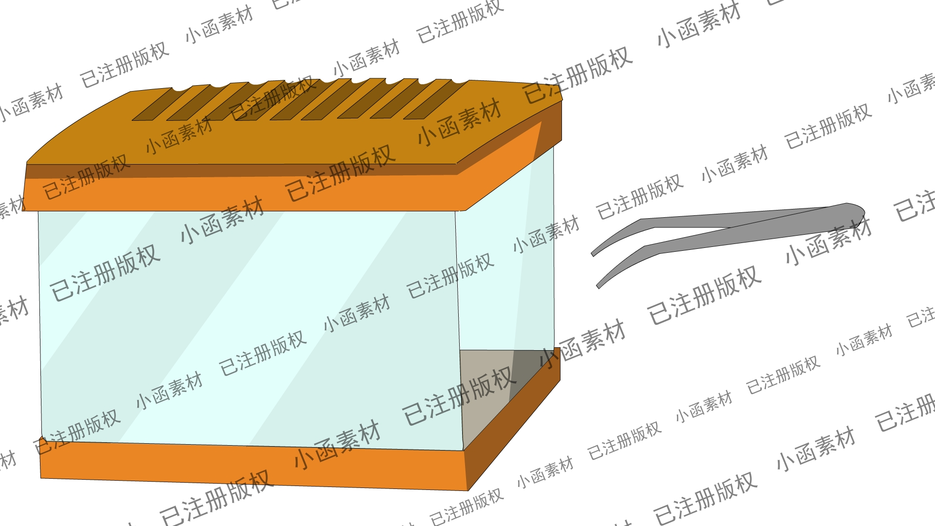 实验箱、镊子