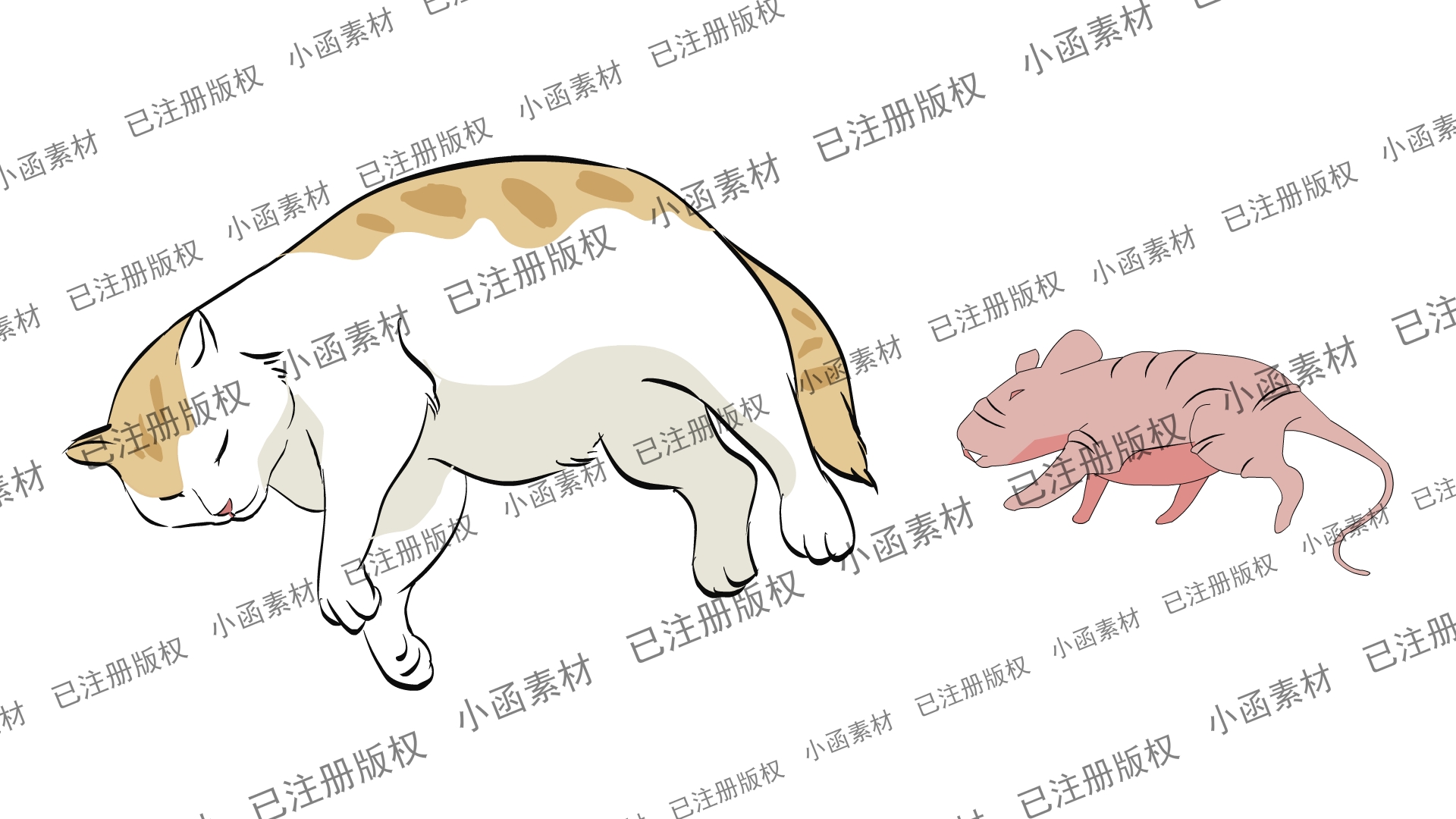 猫、鼠